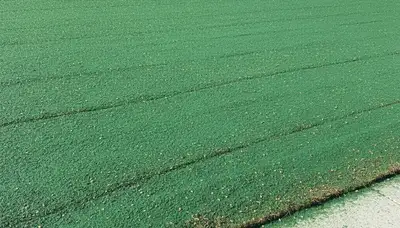 Fresh hydroseed application on prepared soil by Chop Chop Landscaping in Littleton, CO