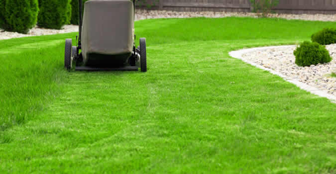 Landscaping & Lawn Care Services